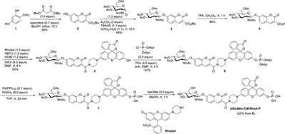 A fluorescent probe to simultaneously detect both O-GlcNAcase and phosphatase